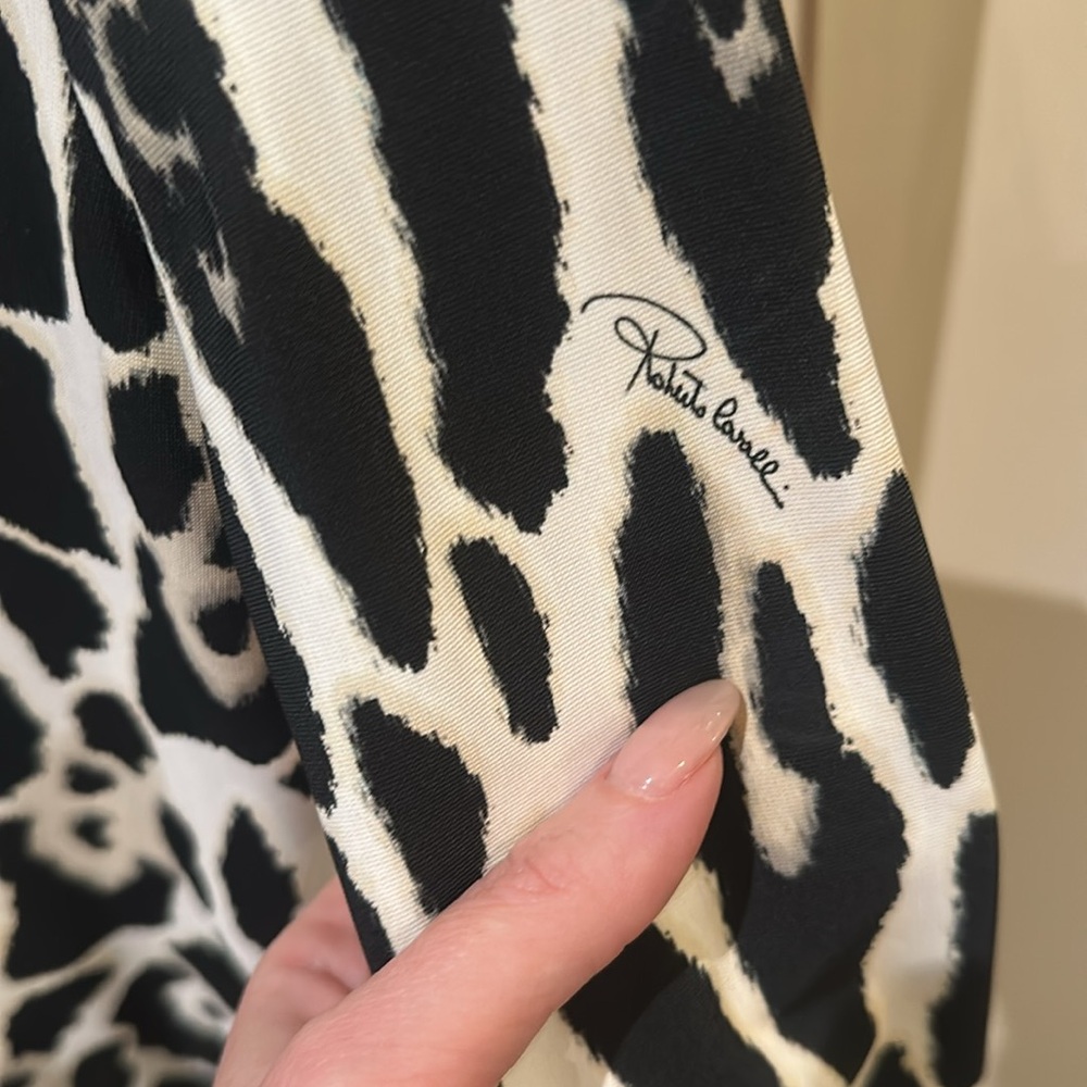 Roberto Cavalli Animal Print V Neck Dress Size 42 - Picture 3 of 8